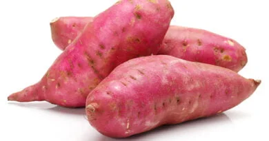 Camote (batata)