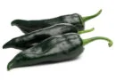 Chile poblano