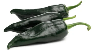 Chile poblano