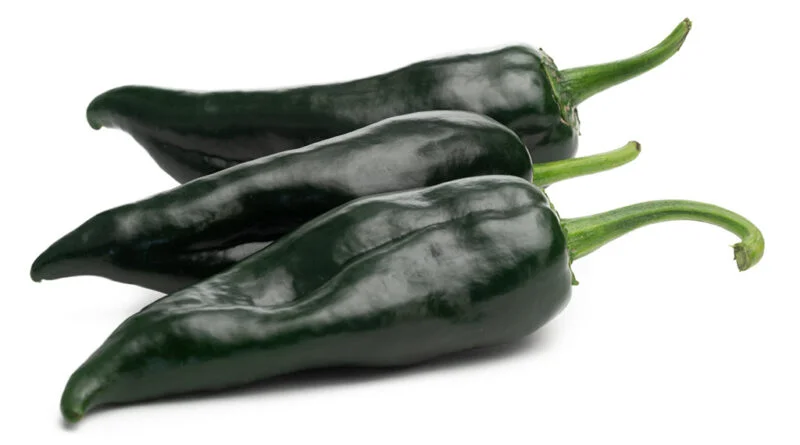 Chile poblano